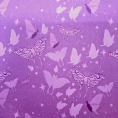 Item thumbnail for item 9e7939b8-0e05-48d5-b2a9-6d2348cb04c2