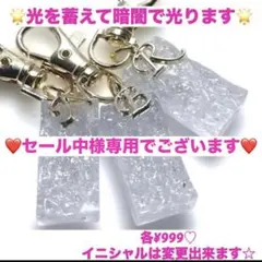❤️セール中様専用です❤️レジン光を蓄えて暗闇で光るキーホルダー　2点イニシャル変更