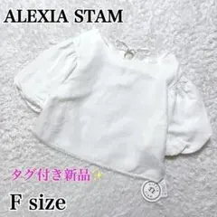 タグ付き新品✨アリシアスタン クロップドトップス Tシャツブラウス　バックリボン