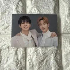 SEVENTEEN ペアトレカ ウォヌ ドギョム