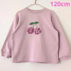 アプレレクール 120cm チェリートレーナー くすみピンク