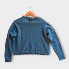 UNIQLO プレミアムラムクルーネックセーター（長袖）