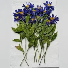 Item thumbnail for item d1f2884a-0393-4af1-8ee7-7cd3511927a6