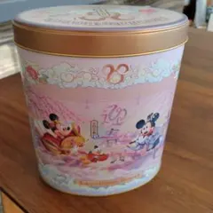 ディズニー缶のみ　2025年バージョン