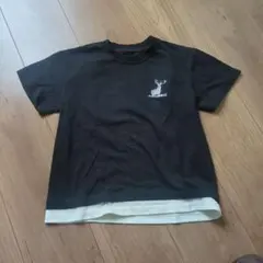 Item thumbnail for item 245bb43e-35db-45a9-b1fe-8ee12e14711a