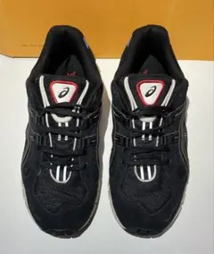 ASICS GEL KAYANO 5 360 アシックス ゲルカヤノ