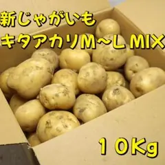A-STYLE 新じゃがいも キタアカリ M～LサイズMIX １０Kg　1のサムネイル