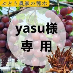【yasu様専用】果樹栽培 穂木 挿し木 接ぎ木 苗木づくり♪