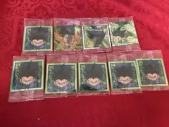 にふぉるめーしょん HUNTER×HUNTER ウエハースvol.7 ゴン　9枚