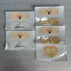 SKZOO スンミン パピーム CharmAid チャームエイド
