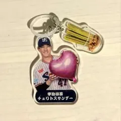 東京ヤクルトスワローズ 神宮グルメチャーム スイーツ編 高橋奎二