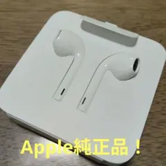 新品Apple純正有線イヤホンEarPods a1748 Lightning