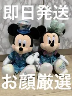 新品タグ付き　ぬいぐるみ　２５周年　ミッキー・ミニー　２点　ディズニーシー