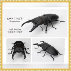 いきもの大図鑑 くわがた 06 ヒラタクワガタ 新品のサムネイル
