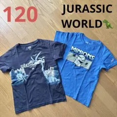 【JURASSIC WORLD】キッズ Tシャツ 120 2枚セット　恐竜