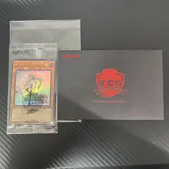 2026年最新】エフェクト・ヴェーラー 20TH-JPC81 SEの人気アイテム