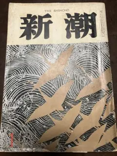 希少 VHS 大河ドラマの15年 『花の生涯』から『花神』まで NHK - メルカリ