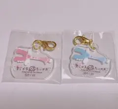 まじかるちいかわ ミニアクリルチャーム