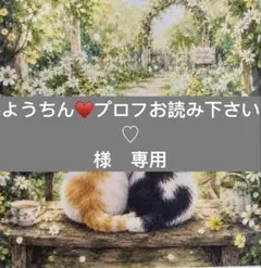 ようちん♥プロフお読み下さい♡様　専用