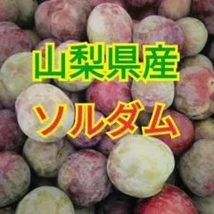 山梨県産　樹なり完熟　極甘ソルダム　3kg　プラム　すもものサムネイル