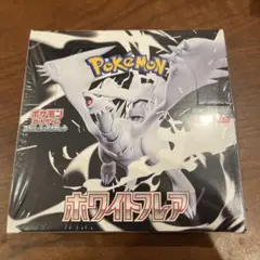 Item thumbnail for item 866724d9-91e8-401b-ac05-ee9d20c61f96