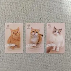 猫カフェMOCHA カード 3枚セット