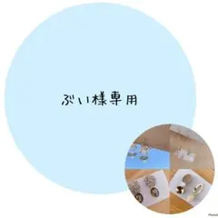 ぶい様