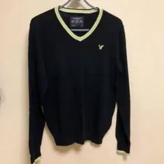 【アメリカンイーグル】コットンVネックセーター S/P