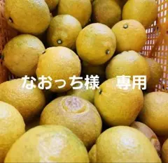 ⭕なおっち様　専用