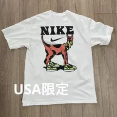 貴重　NIKE SB アメリカ限定モデル 日本未発売Tシャツ　Mサイズ