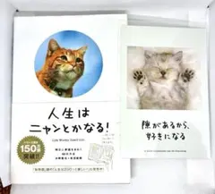 八朔大福様 リクエスト 2点 まとめ商品