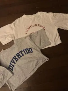 クロップド丈 Tシャツ 2枚セット