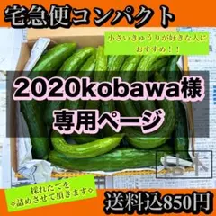 2020kobawa様専用ページ。コンパクト