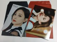 TWICE　ツウィ　トレーディングカード　パーフェクトワールド　ワールドツアー