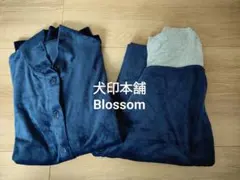 Item thumbnail for item ba703869-e5e2-4121-b3fa-66718113ceca