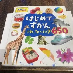 はじめてのずかん これ、な〜に 650