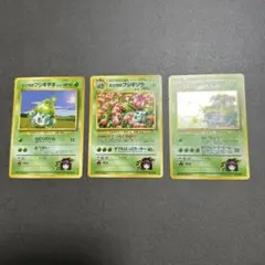 旧裏】 エリカのフシギバナ フシギダネ フシギソウ セット - メルカリ
