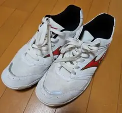 Mizuno/ランバード/ホワイト/レッド２８cm