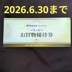 ヤマダ電機　お買物優待券 株主優待　1500円分