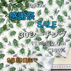 NO,0557 112cm幅 2.0m 綿30シーチング　アロエ柄