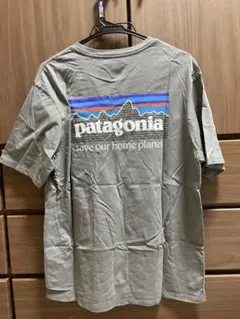 patagoniaパタゴニア バックロゴTシャツMサイズ 2枚セット