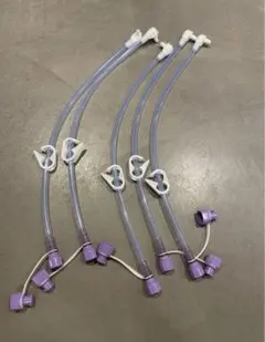 Item thumbnail for item bec5da81-7751-49e2-aa17-2a4b9a846da8