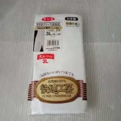 GUNZE 新品 未開封 ブリーフパンツ ３L 日本製