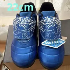 Item thumbnail for item 70f5a54b-6894-4d8d-99d7-3a8326585f80