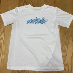 Item thumbnail for item 11e3f310-2a3f-4fad-a98a-adc0a39a32df