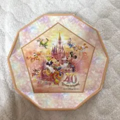 【新品未使用】ディズニーランド 40周年 スーベニア プレート