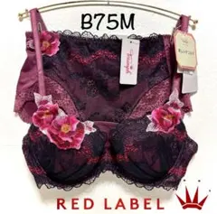 B75M トリンプ プレミアム レッドレーベル 0094 ブラ＆ショーツM014