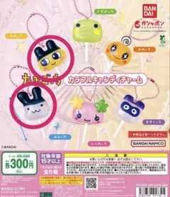 たまごっち カラフルキャンディーチャーム まめっち みみっち