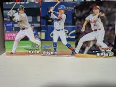 プロ野球チップス　カード