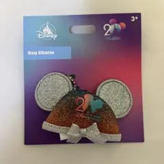 香港ディズニー　20周年　イヤーハット　バッグチャーム